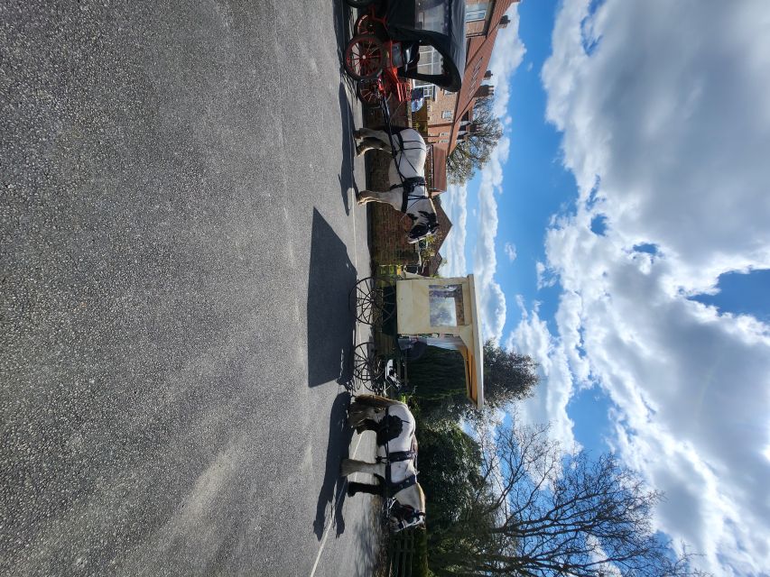 York: Horse Drawn Carriage ride & Cream Tea - The cream tea: simple, filling, and well suited to the outing