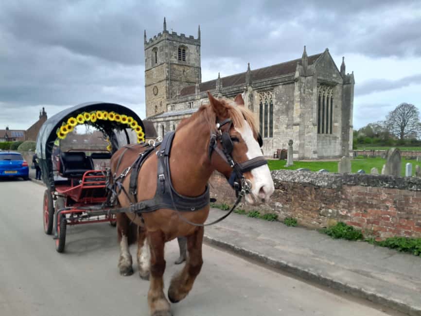 York: Private Horse-Drawn Carriage Ride and Afternoon Tea - What the feedback tells you
