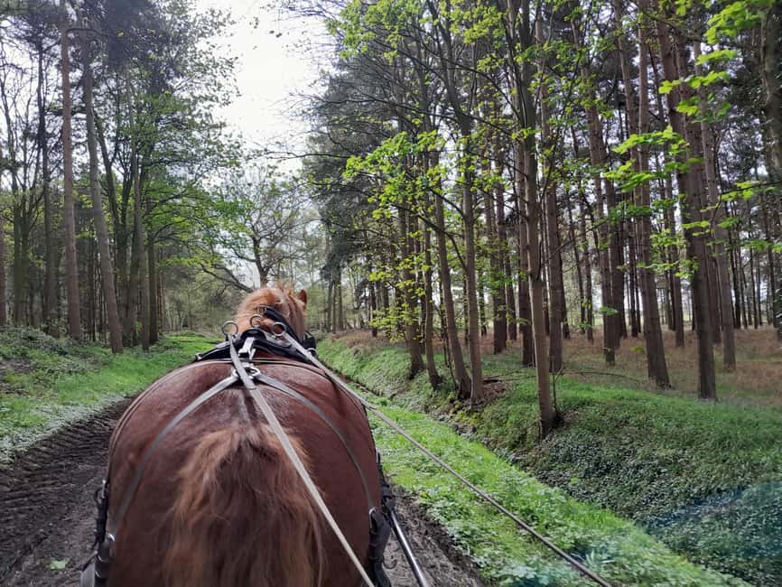 York: Private Horse-Drawn Carriage Ride and Afternoon Tea - Should you book the Skipwith carriage ride?